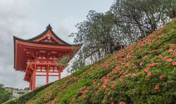 Beautiful zen park on cloudy day