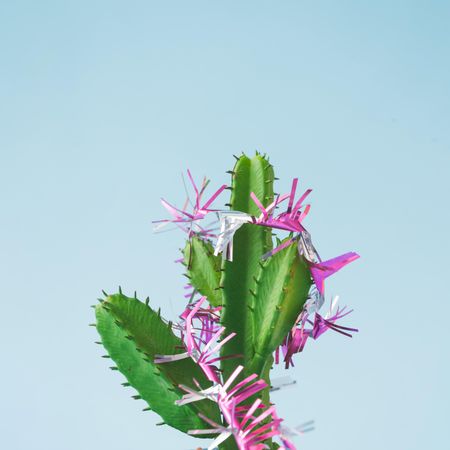 Cactus with Christmas garland decoration