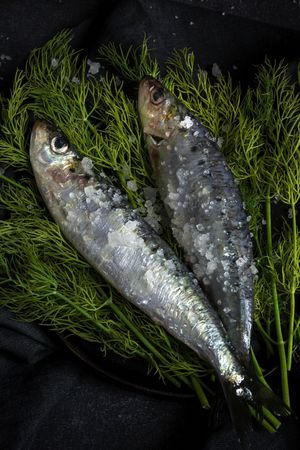 Homemade salted sardines on greens on plate