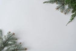 Christmas branches on corners of light background