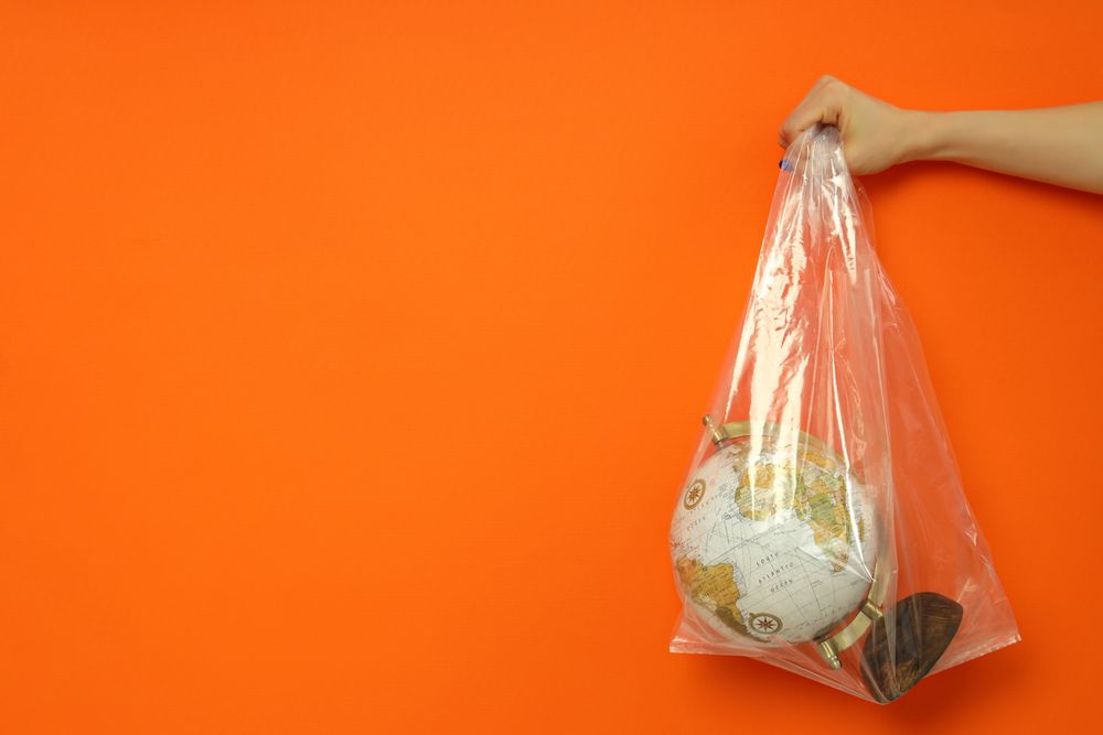 Hand holding globe in a plastic bag with copy space