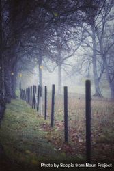 Dark wooden fence on green grass field with fog 4mp3d5