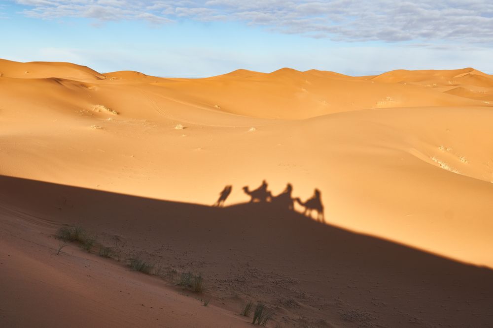 Shadow on sand of camels and people