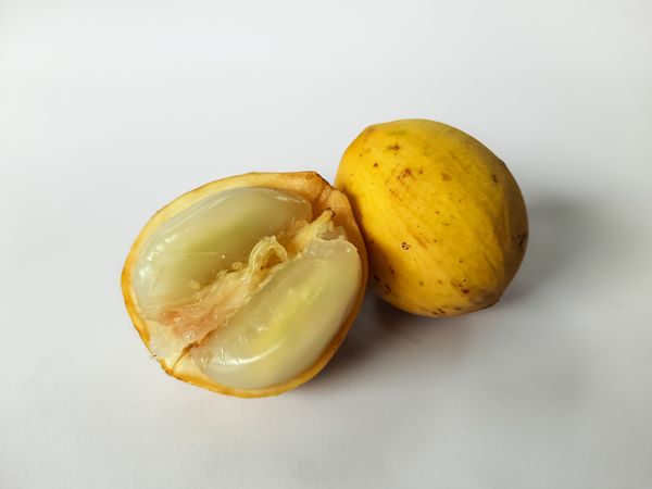 Fresh Duku Fruit with Open Half