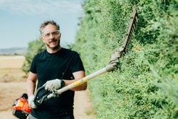 Man pruning arizonica hedge