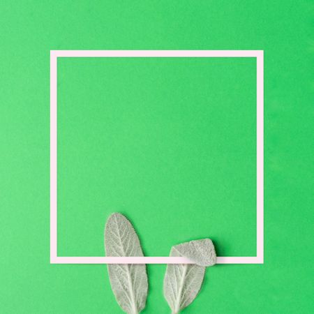 Bunny rabbit ears made of natural green leaves on green background with frame