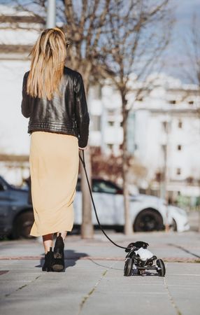 Woman walking pet with wheelchair on street