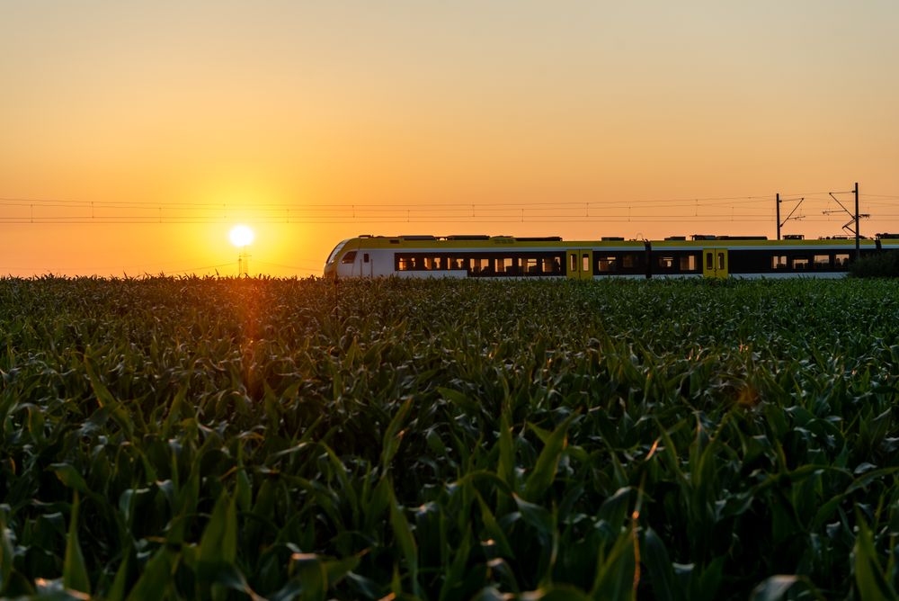 Passengers train at sunrise, traveling through corn fields in Germany