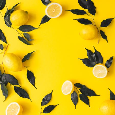 Lemons and dark leaves on yellow background