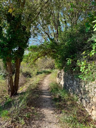 Wooded trail along stone wall in the Baux-de-Provence