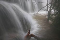 Wonderful waterfall near tree