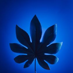 Neon tropical leaf in blue vivid fluorescent color