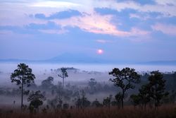 Landscape fog in morning sunrise at Thung Salang Luang National Park Phetchabun,Tung slang luang is Grassland savannah in Thailand