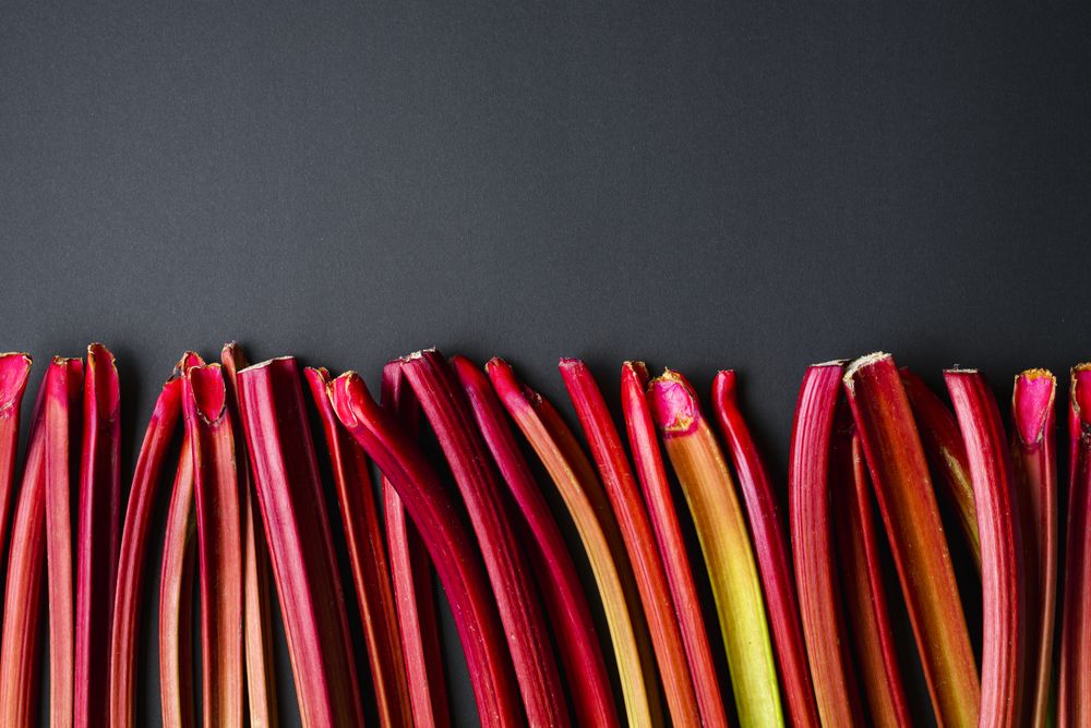 Rhubarb stalks aligned on a dark background