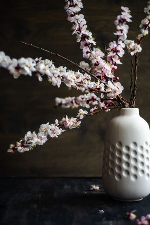 Side view of vase with apricot blossom in wooden room