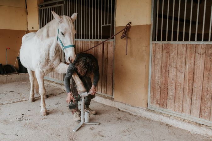 Anonymous farrier measuring horse hoof