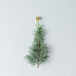 Christmas tree made of evergreen branch topped with gold bow on light background
