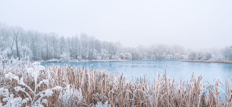 Cold day at the lake with frosted grass in the foreground, wide