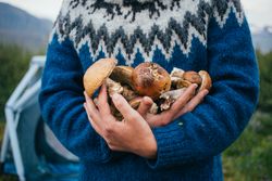 Cropped shot of man with pile of foraged mushrooms