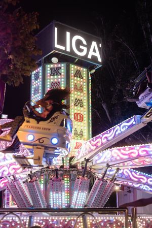 People on illuminated amusement ride in park