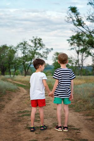Two little brothers walking in countryside
