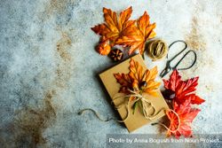 Rustic background with giftbox and fall leaves 5nwZM4