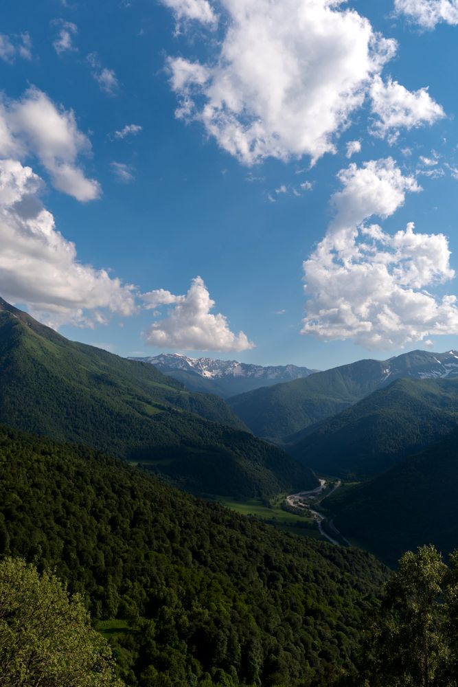 Mountain valley with lush greenery and snow-capped peaks