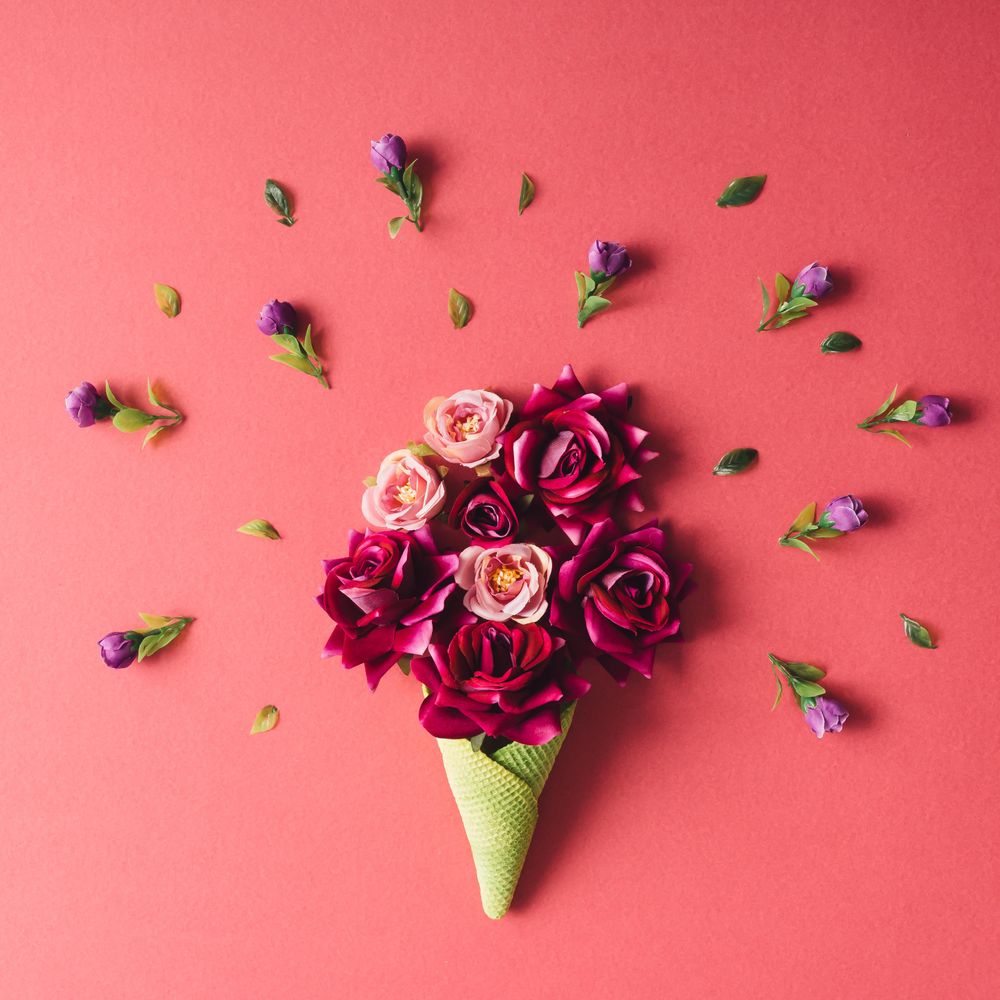 Roses and purple flowers and green waffle cone on dark coral background