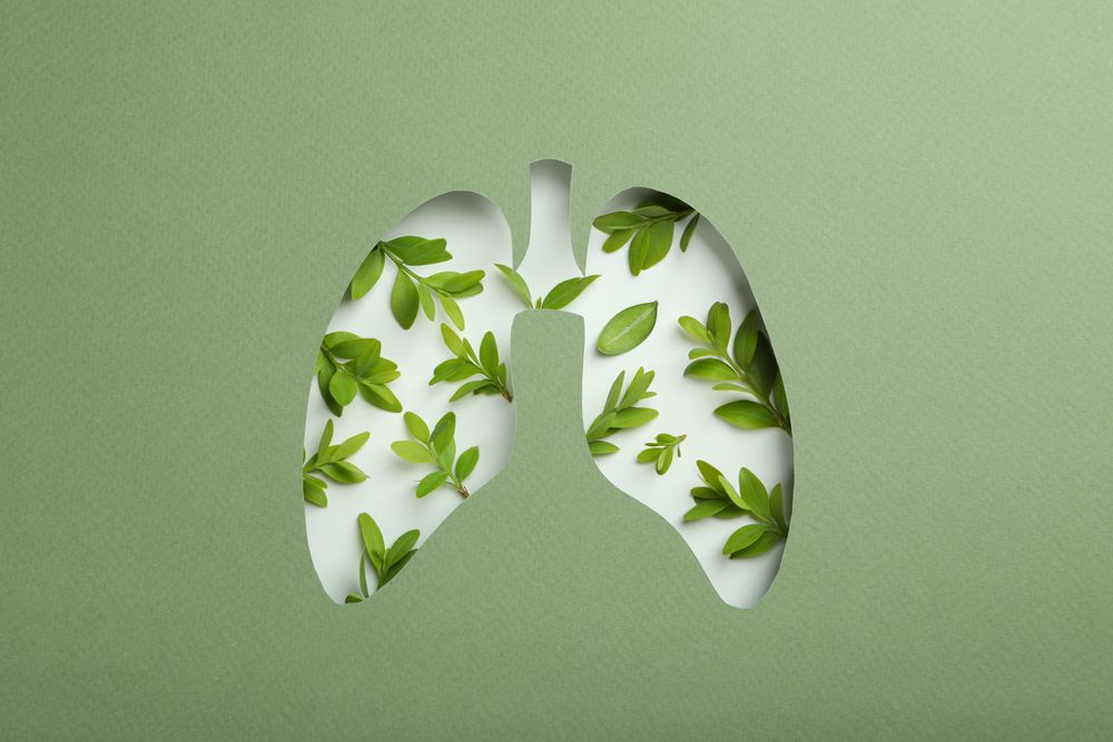 Lung shape cut out of green paper revealing leaves underneath