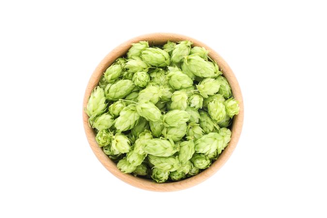 Wooden bowl with hop cones isolated on blank background