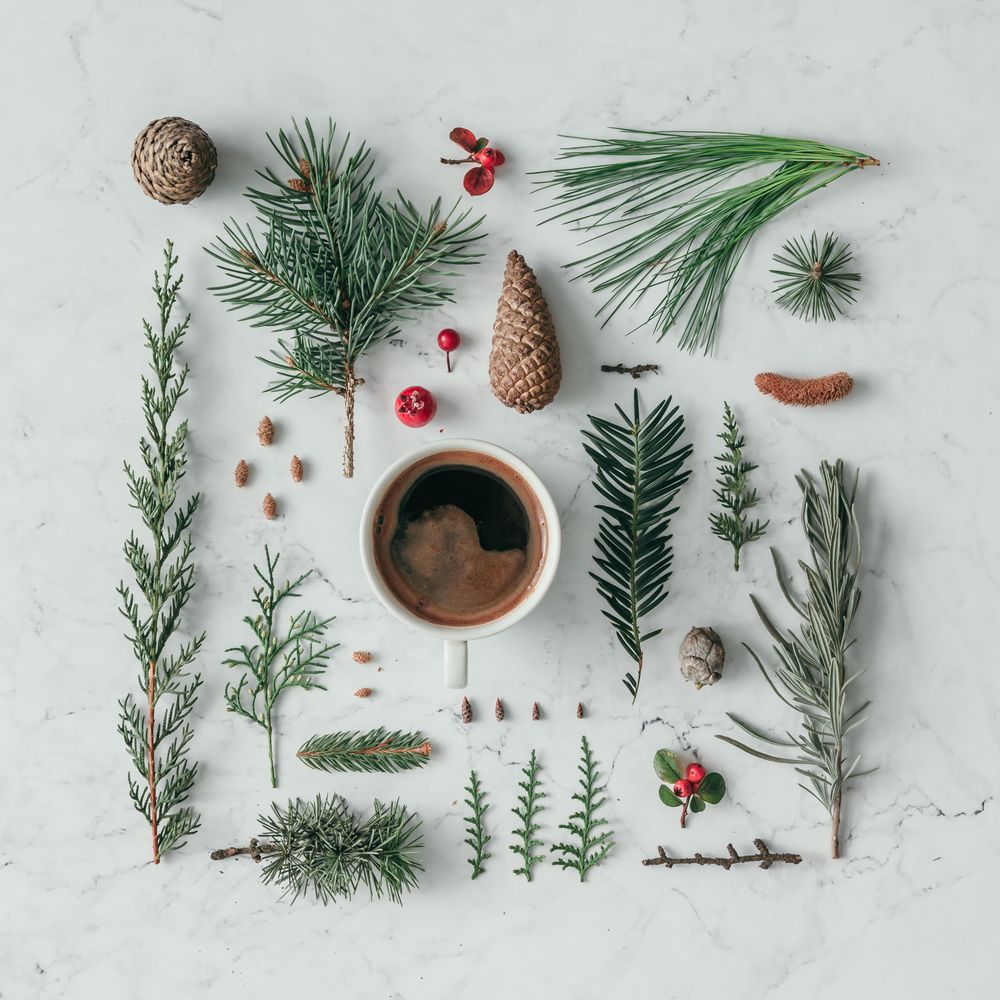 Creative layout made of winter branches, on marble background with coffee