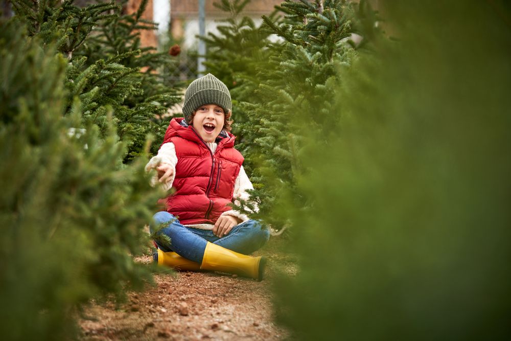 Cheerful kid sitting among Christmas trees