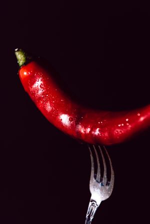 red chili pepper in fork on a dark background