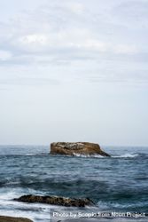 Rock in the sea bG61B4