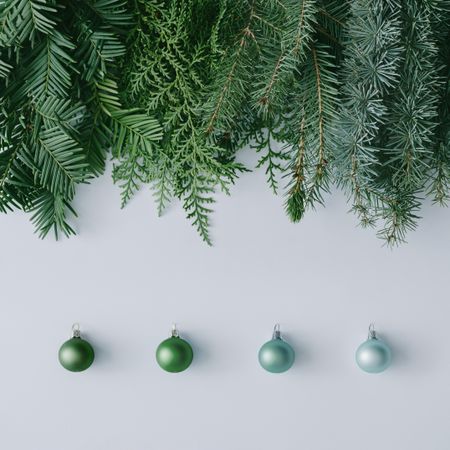 Green variety of winter tree branches and a row of green baubles