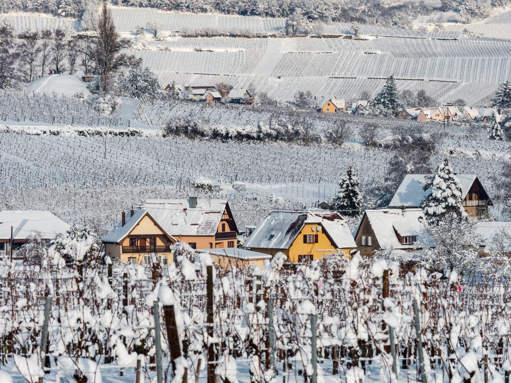 Winter's Tale. Snow-covered clean light landscape of Alsace.