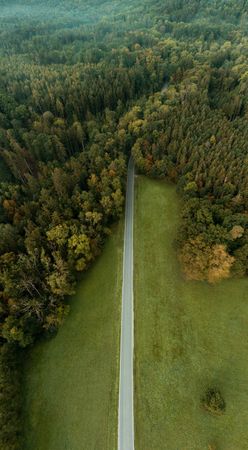Drone aerial view vertical panorama with road