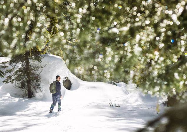 Hiker in snowy forest in Yosemite California