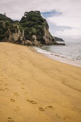 Sandy beach and green forest in Pancake Rocks