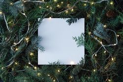 Christmas tree branches with lights and paper card note