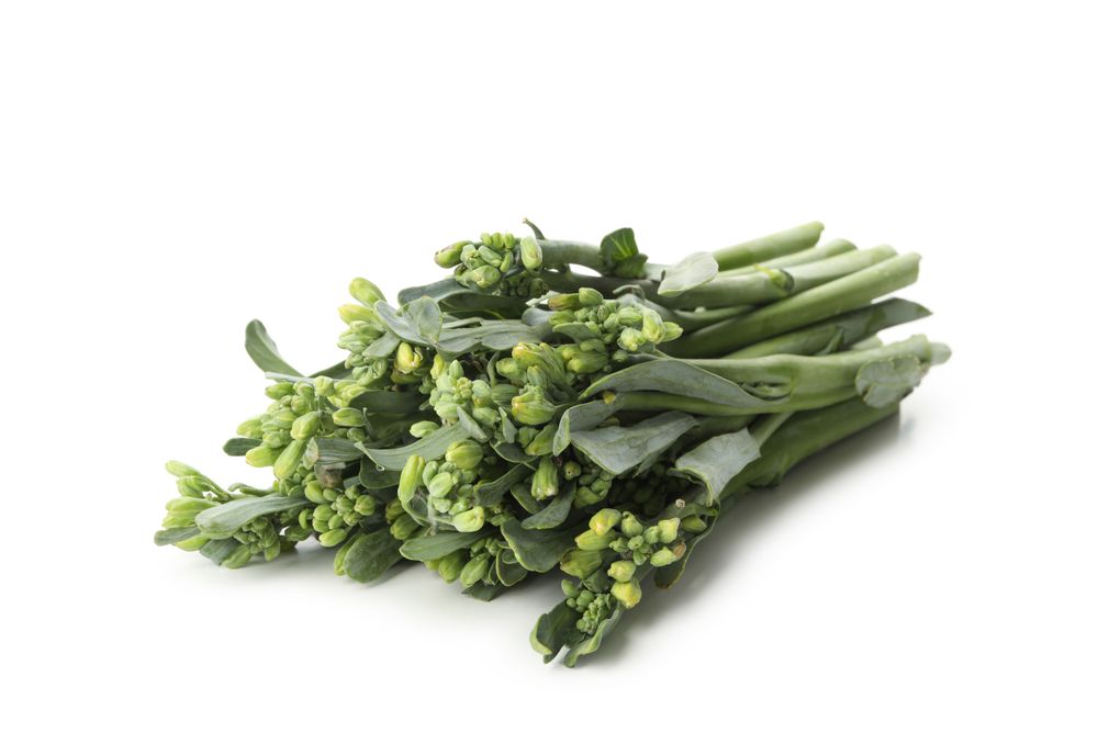 Fresh green broccolini isolated on plain background