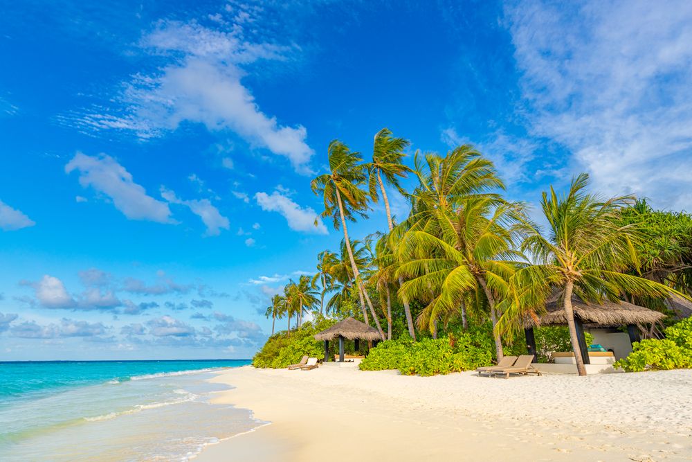 Two thatched huts on the beach with palm trees, landscape