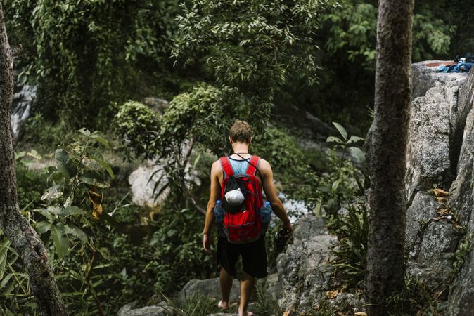 Man on cliff near plants in forest