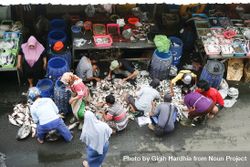 People sorting fish in Indonesian street market 0geAW4