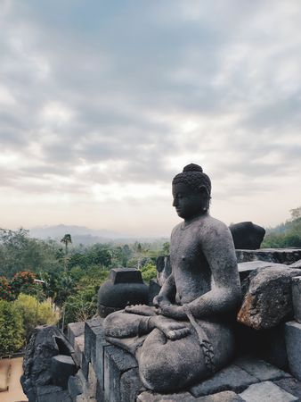 Serene Buddha Statue at Borobudur Temple, Indonesia: A Panoramic View of Lush Greenery under Cloudy Skies