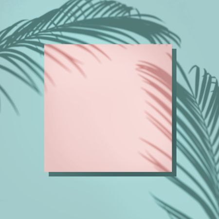 Shadows of tropical leaves on baby blue background with pink square card