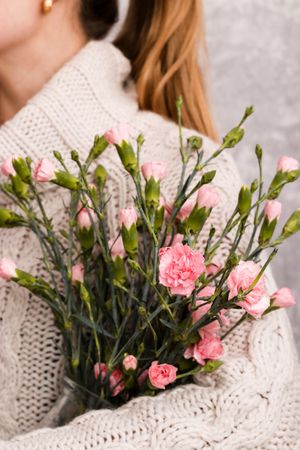 Cropped image of woman in knit sweater holding pink flowers