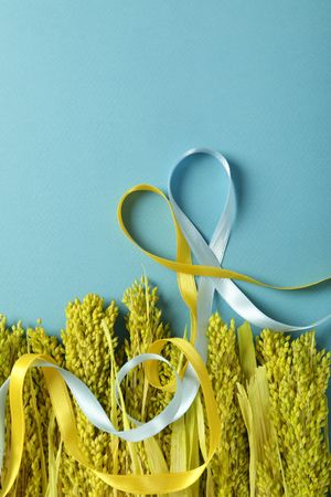 Arrangement of yellow flowers on blue background with ribbons
