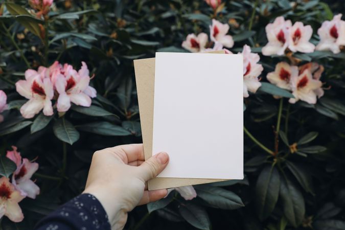 Pink blooming rhododendron shrubs with blank note