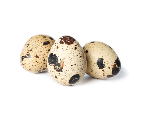 Raw quail eggs isolated on blank background